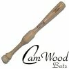 CamWood One Hand Training Bat -Easton Glove Shop 41d5X62kbcS. AC